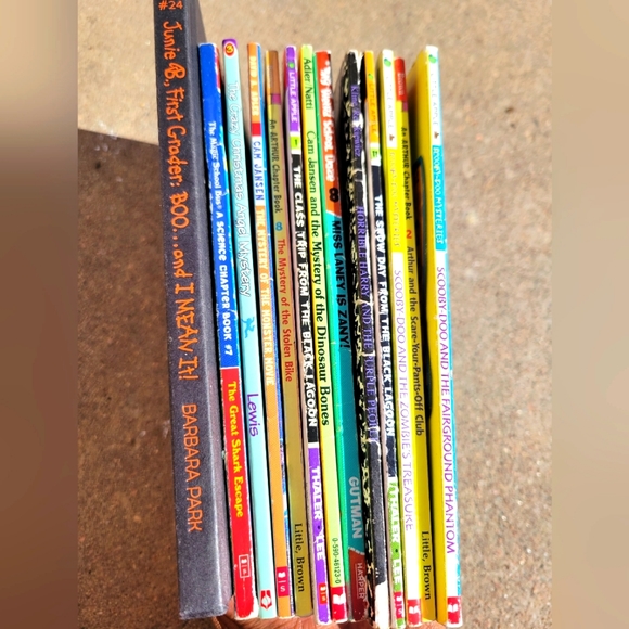 Young Reader Chapter Books - Picture 3 of 3